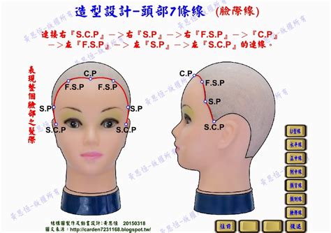 頭部七條基準線中 側頭線是